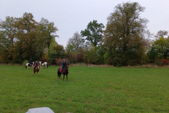 IMG-20221026-WA0121